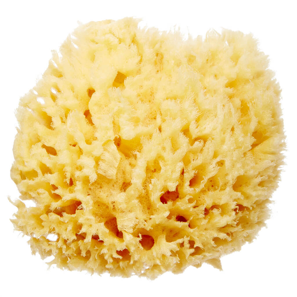 HartFelt Wool Sea Sponge 4 Inch