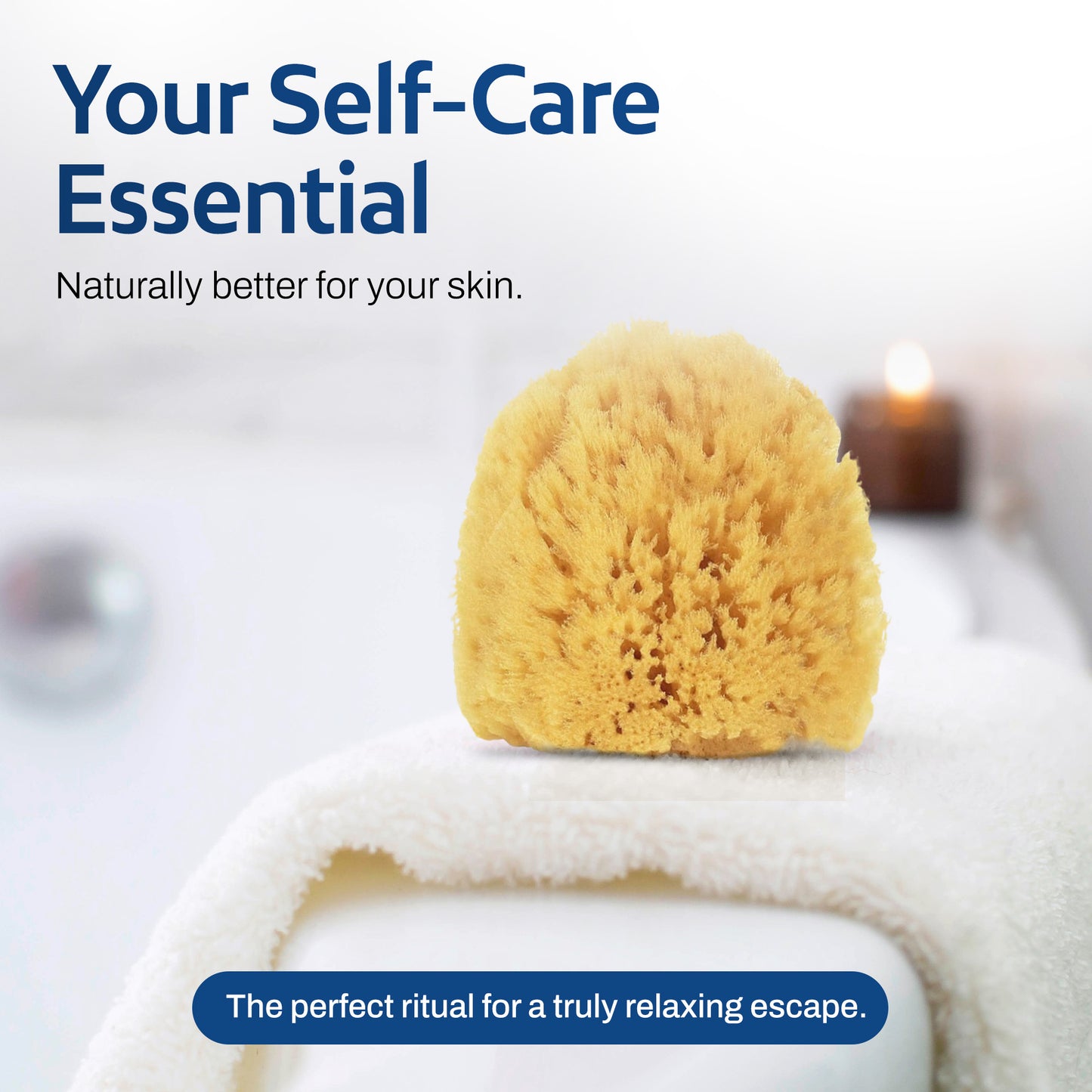 HartFelt Exfoliating Sea Sponge Beauty Box - 2 Grass Sea Sponges 4 inch