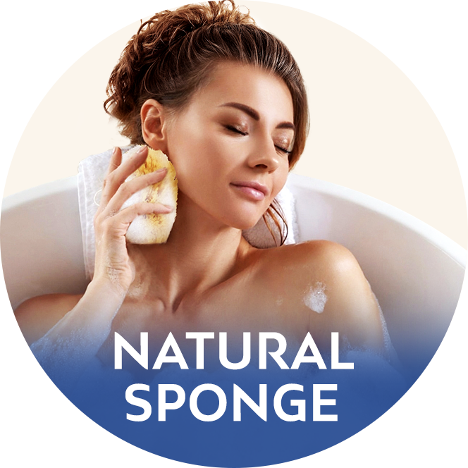 Sea Sponges