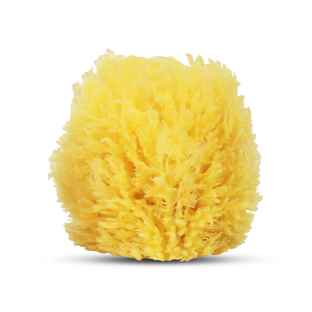 HartFelt natural grass sea sponge