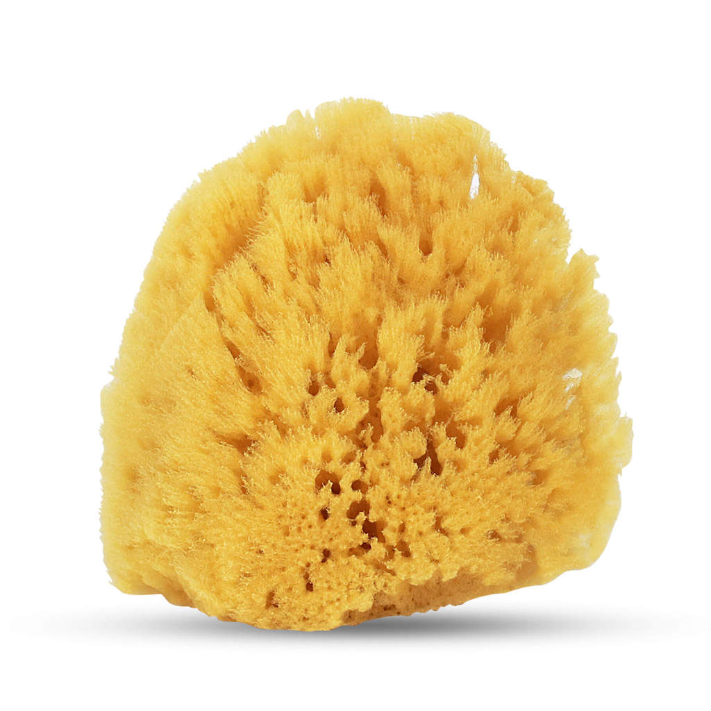 HartFelt natural yellow sea sponge