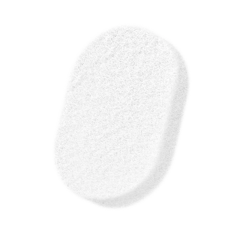 Body Sponges