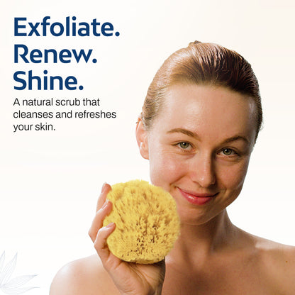 HartFelt Exfoliating Sea Sponge Beauty Box - 2 Grass Sea Sponges 4 inch