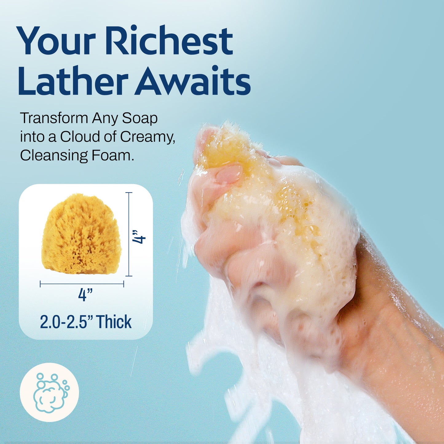 HartFelt Exfoliating Sea Sponge Beauty Box - 2 Grass Sea Sponges 4 inch