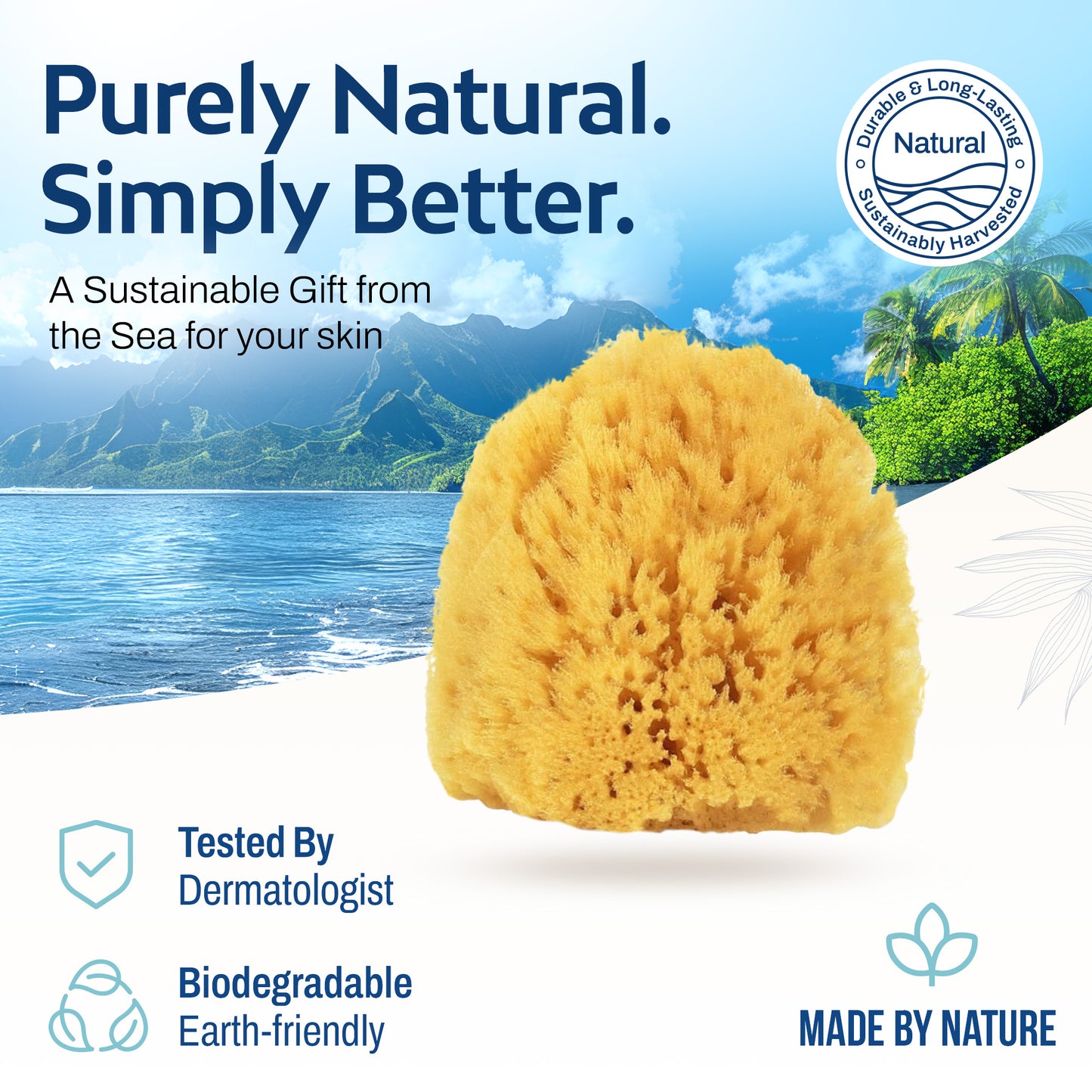 HartFelt Exfoliating Sea Sponge Beauty Box - 2 Grass Sea Sponges 4 inch