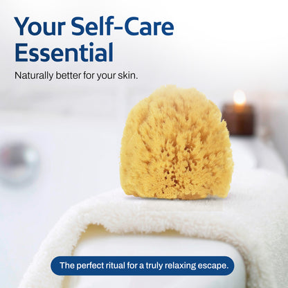 HartFelt Exfoliating Sea Sponge Beauty Box - 2 Grass Sea Sponges 4 inch