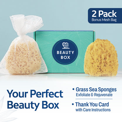 HartFelt Exfoliating Sea Sponge Beauty Box - 2 Grass Sea Sponges 4 inch