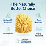 HartFelt natural yellow sea sponge