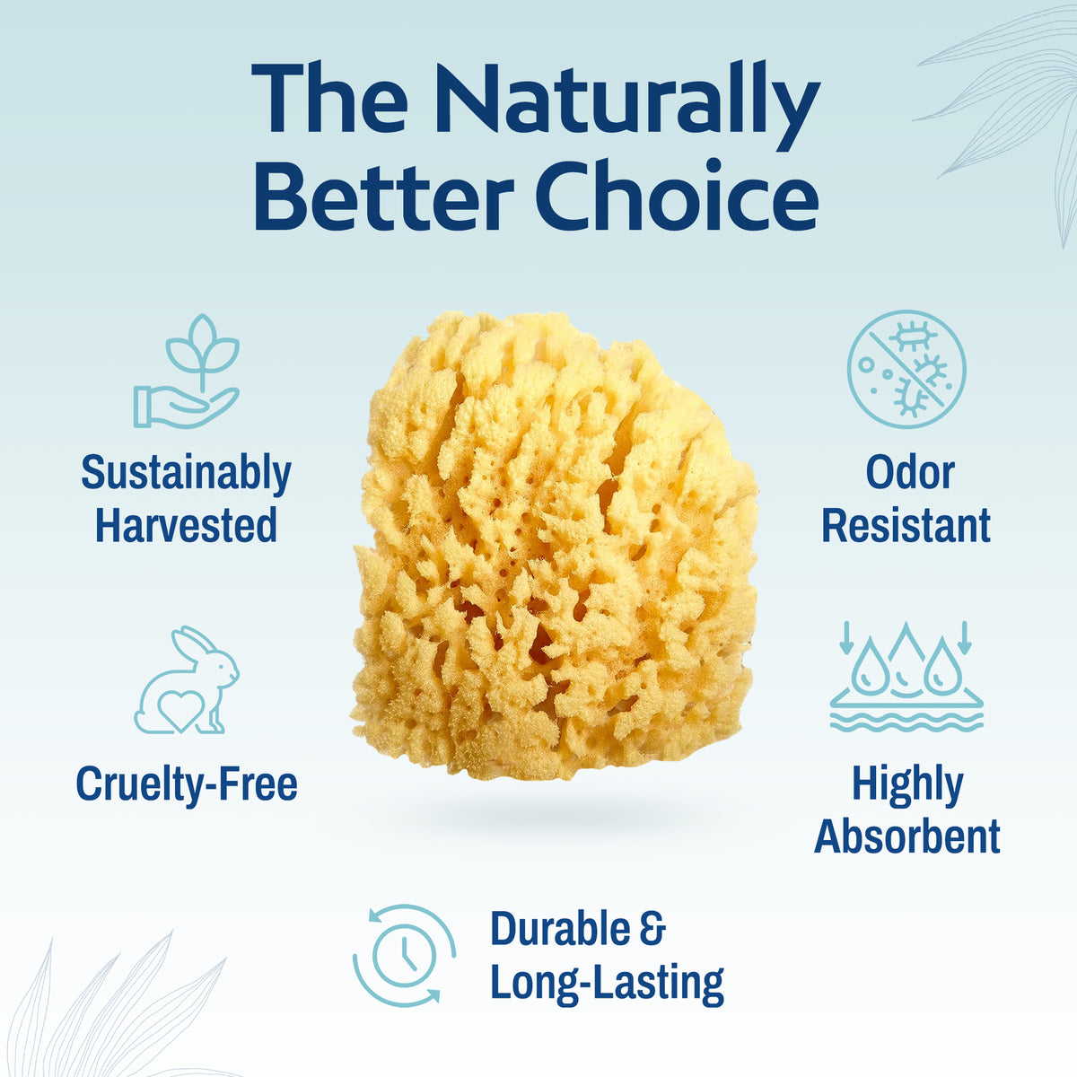 HartFelt natural yellow sea sponge