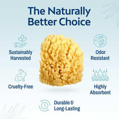 HartFelt Yellow Sea Sponge 4 Inch