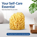 HartFelt natural yellow sea sponge
