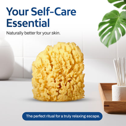 HartFelt Yellow Sea Sponge 4 Inch