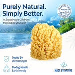 HartFelt natural yellow sea sponge
