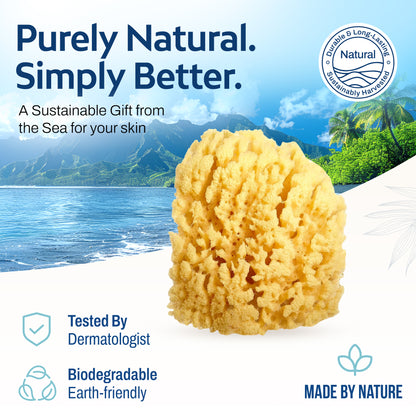 HartFelt Yellow Sea Sponge 4 Inch