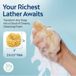 HartFelt natural wool sea sponge