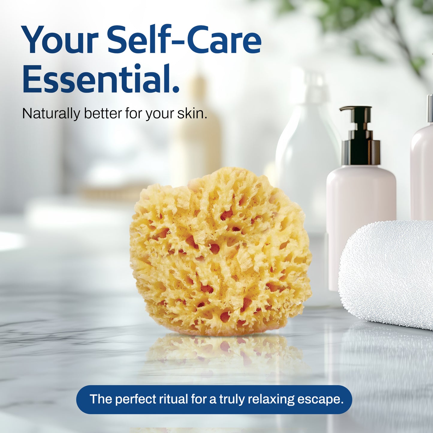 HartFelt Wool Sea Sponge 4 Inch