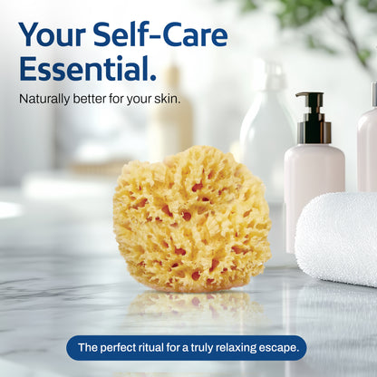 HartFelt Wool Sea Sponge 4 Inch