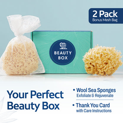 HartFelt Wool Sea Sponge 4 Inch
