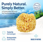 HartFelt natural wool sea sponge
