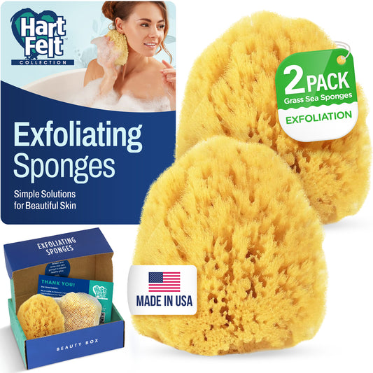HartFelt Exfoliating Sea Sponge Beauty Box - 2 Grass Sea Sponges 4 inch