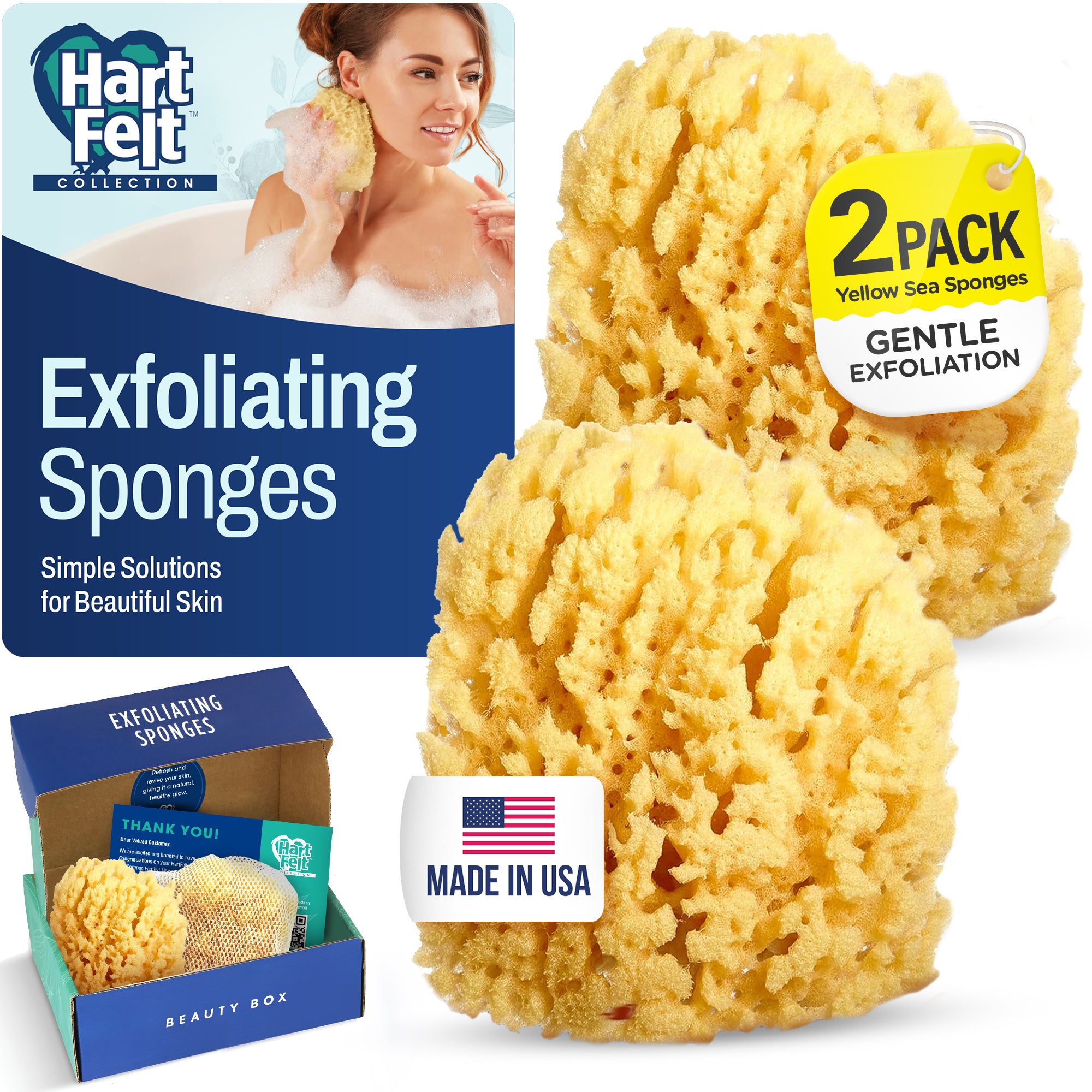 Natural Sea Sponges for Bathing | HartFelt