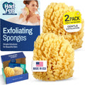 HartFelt Gentle Exfoliation Sea Sponge Beauty Box - 2 Yellow Sea Sponges 4 inch